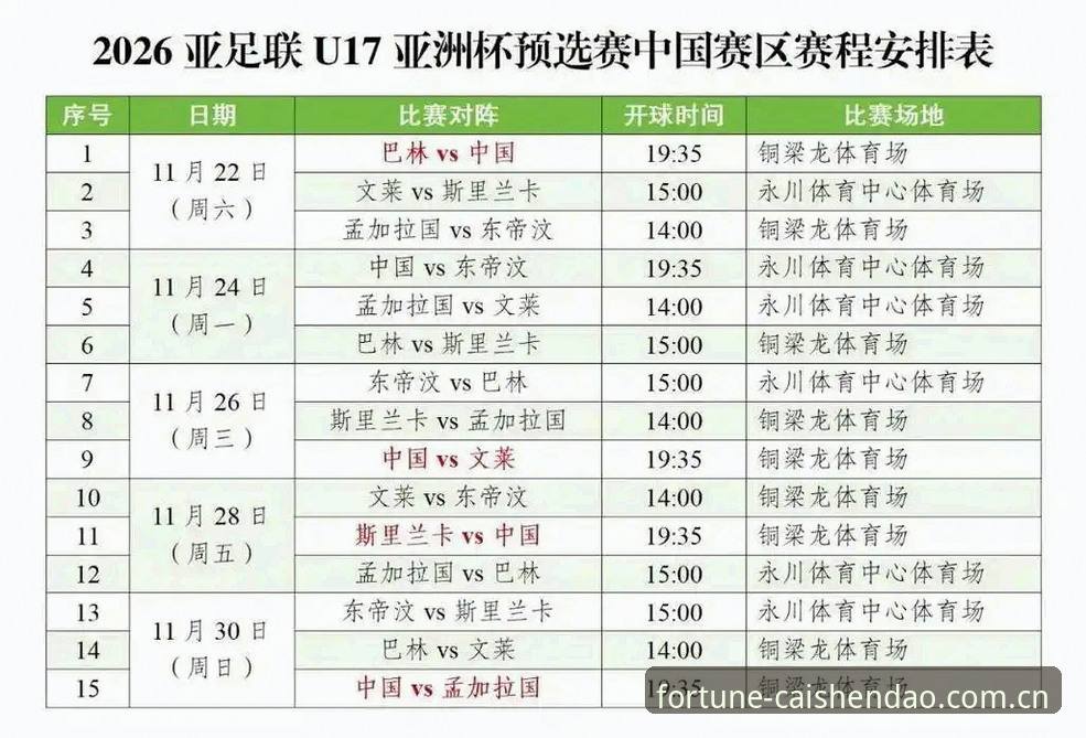 U17世界杯抽签结果解读与观赛体验指南——在财神到游戏平台畅享赛事全程